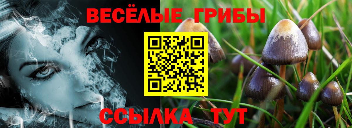Галлюциногенные грибы мицелий  Вход с VPN  Галлюциногенные грибы мухоморы  Унеча 